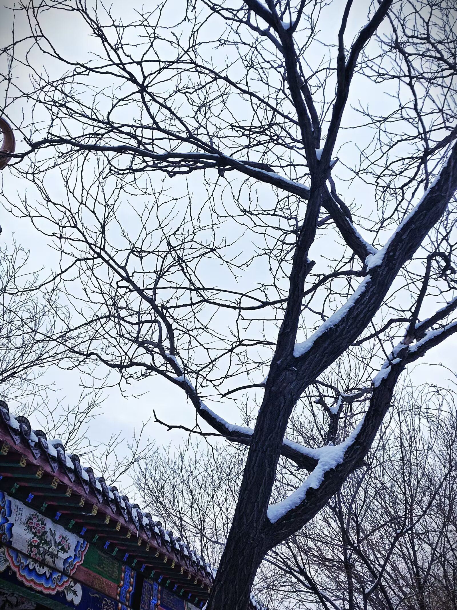 人民公园旅行图片 1