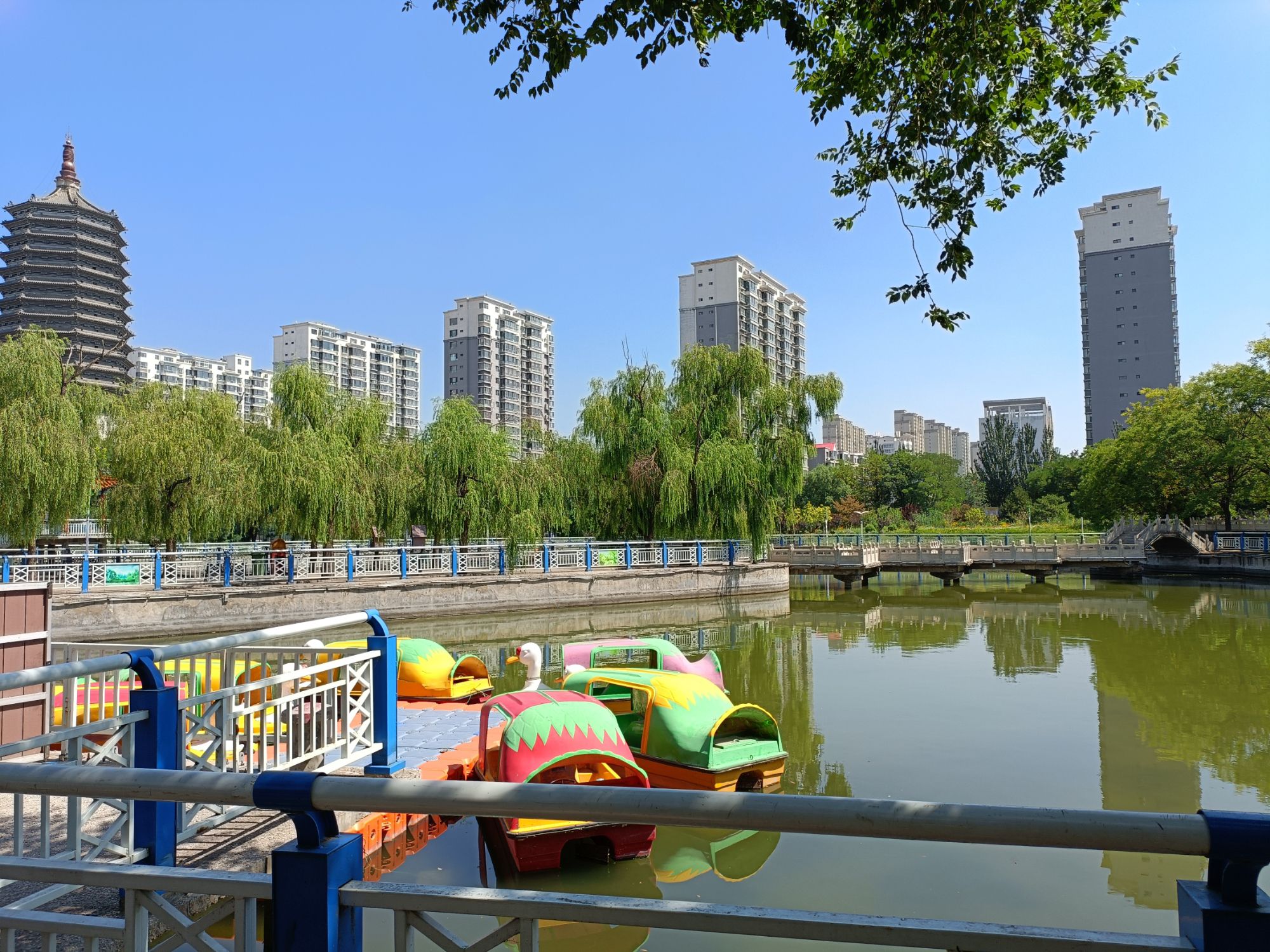 人民公园旅行图片 3