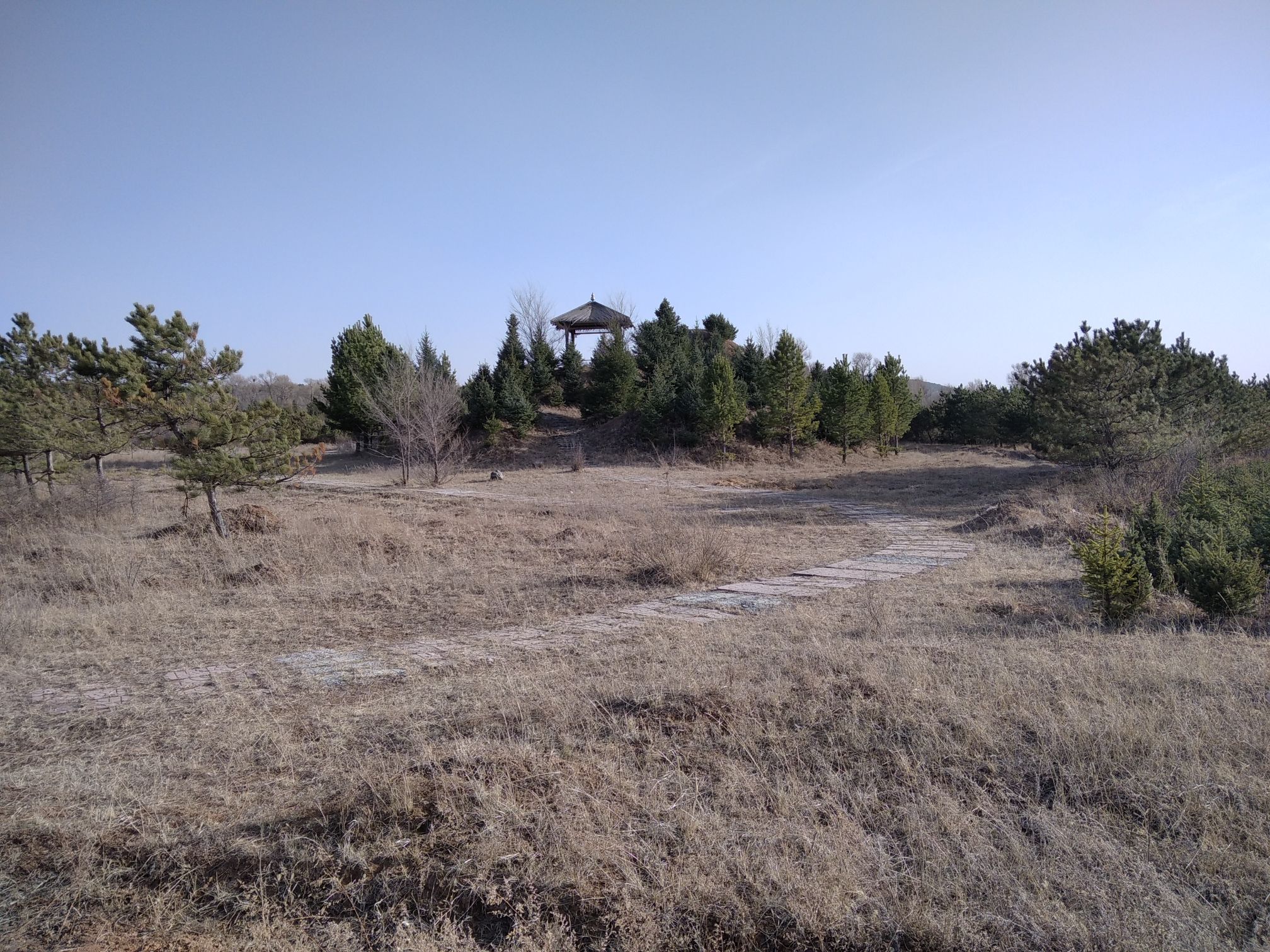 鹿园旅行图片 3