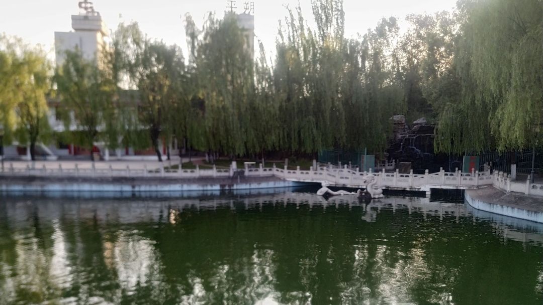平朔公园旅行图片 2