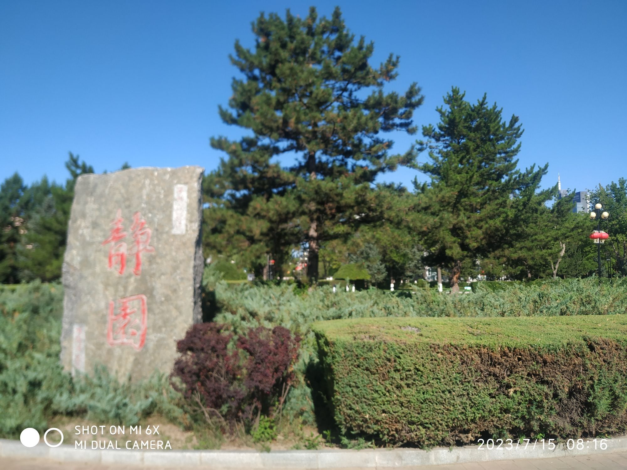 静园