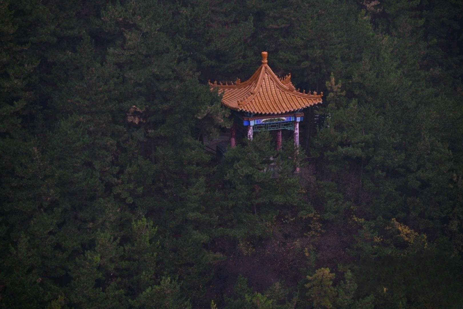 禹王洞旅行图片 1