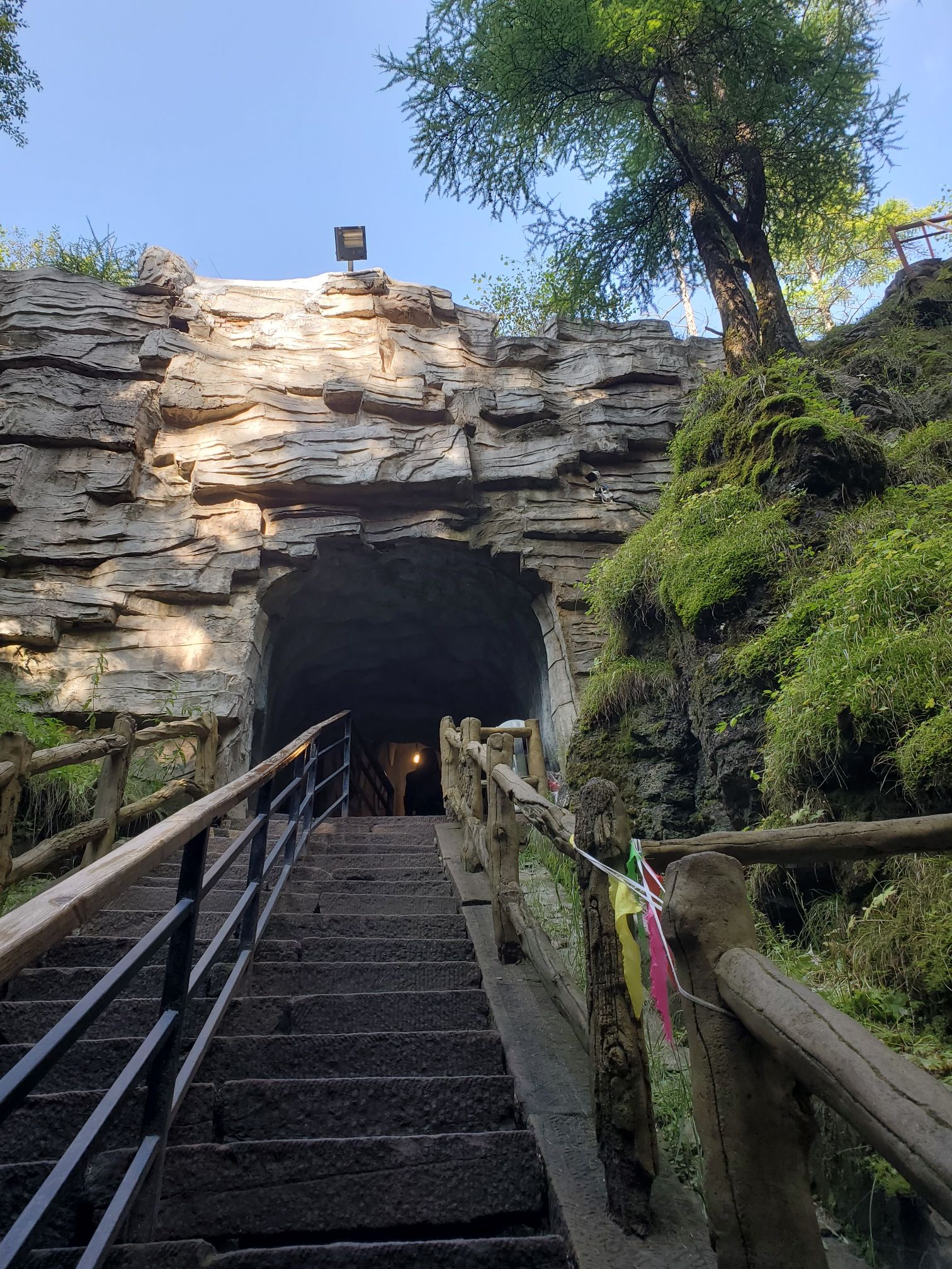 芦芽山旅游度假区(暂停开放)旅行图片 2