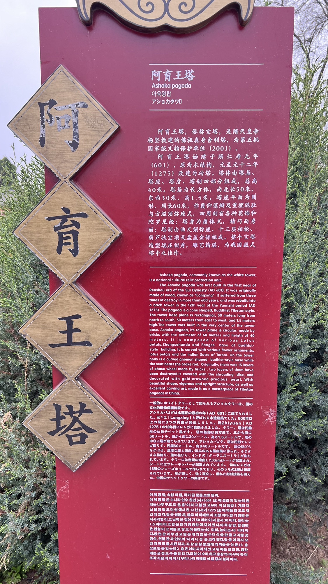 阿育王塔旅行图片