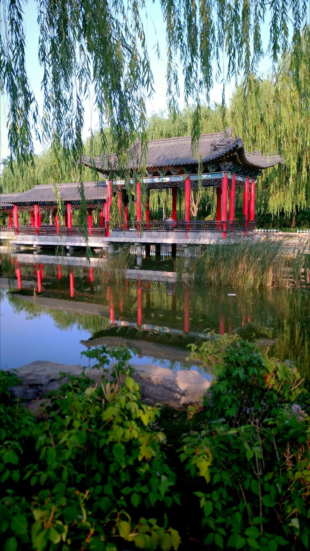 白朴公园旅行图片 3
