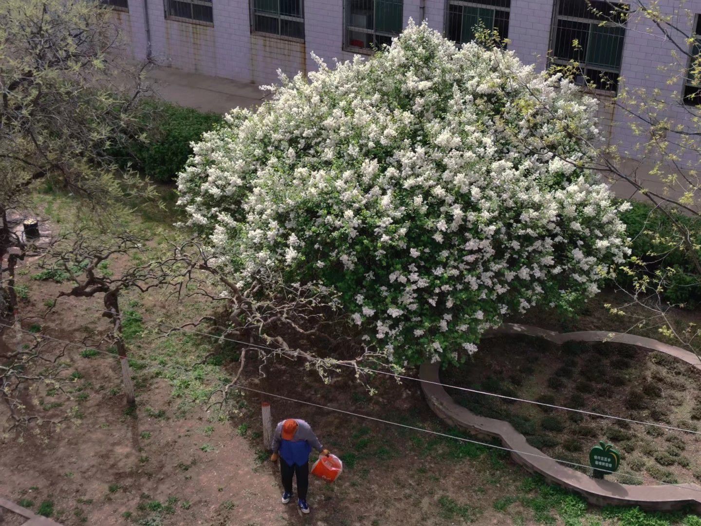 忻州师范学院专科部