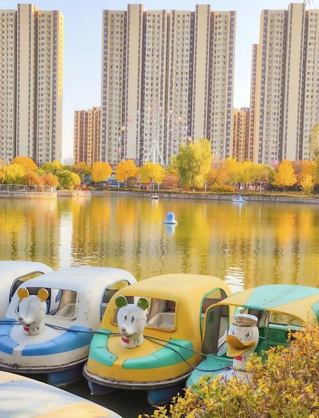 人民公园旅行图片 2