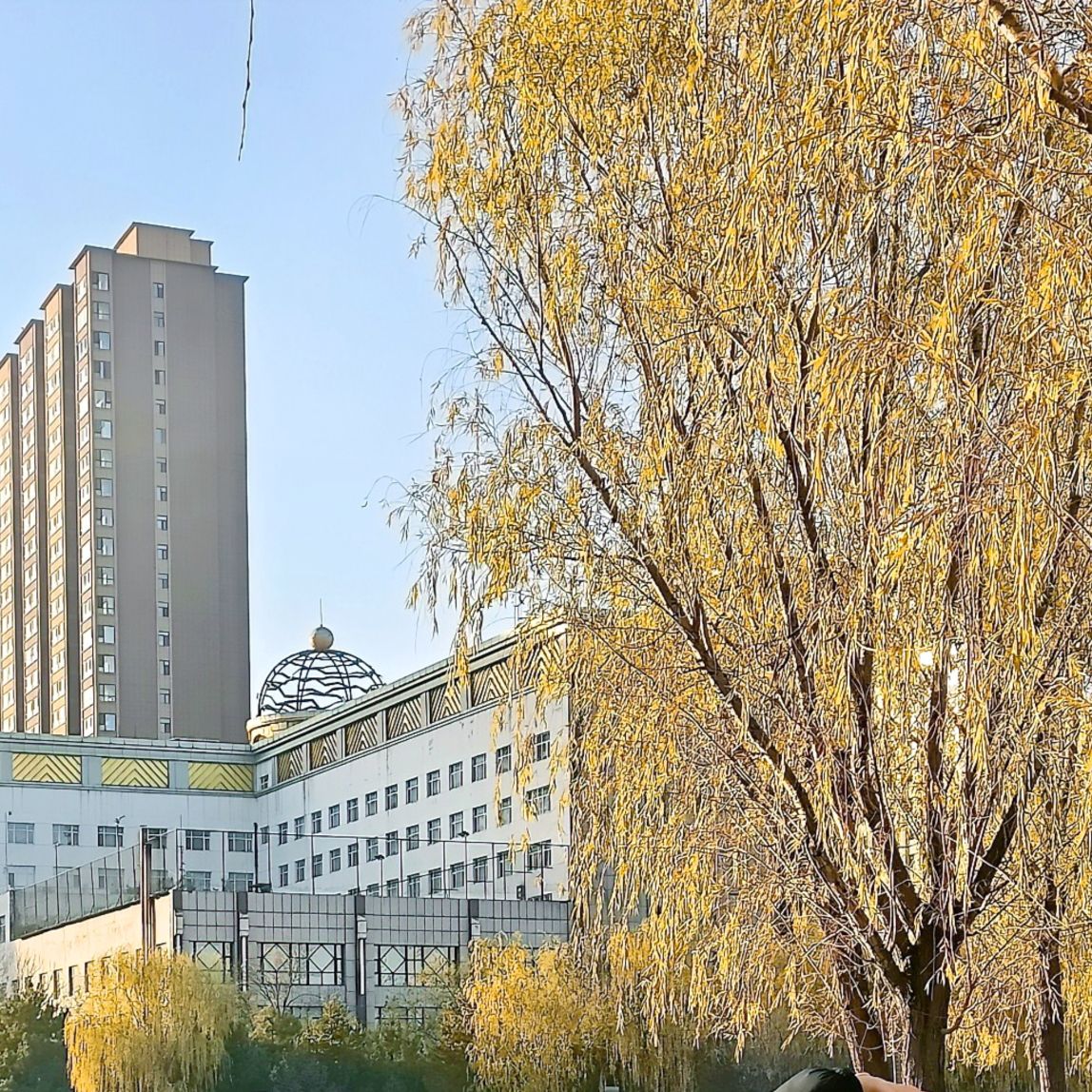 人民公园旅行图片 2