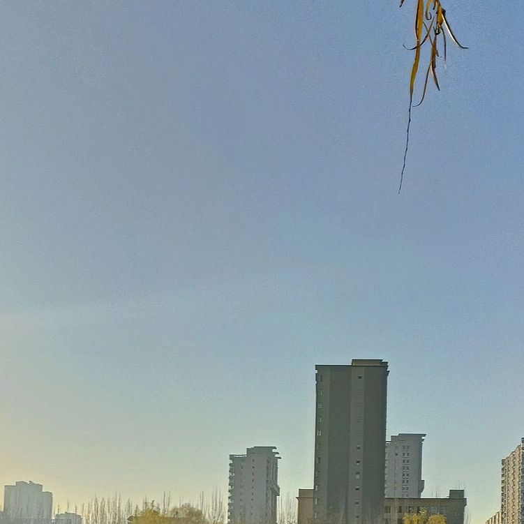 人民公园旅行图片 1