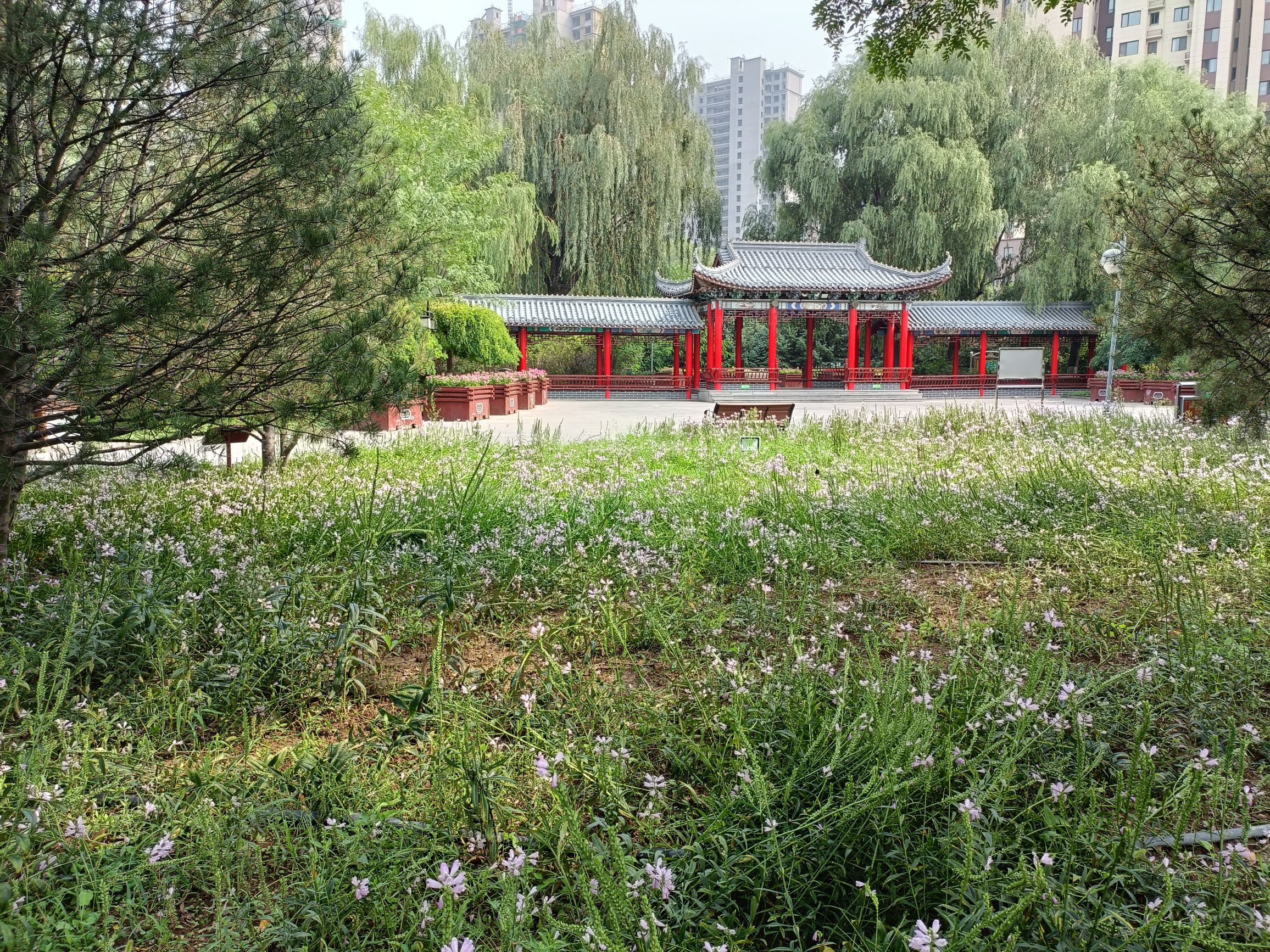人民公园旅行图片 3