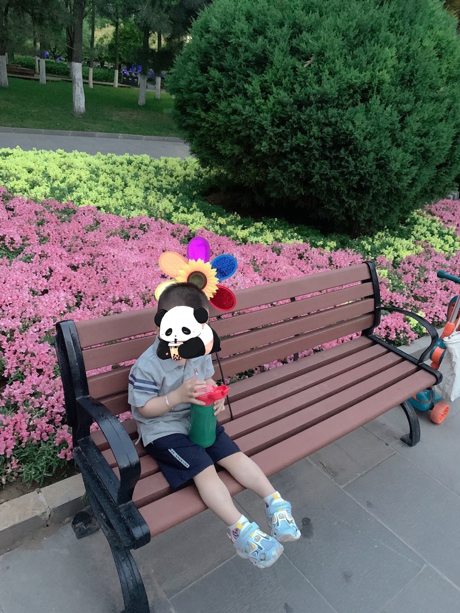 人民公园旅行图片 2