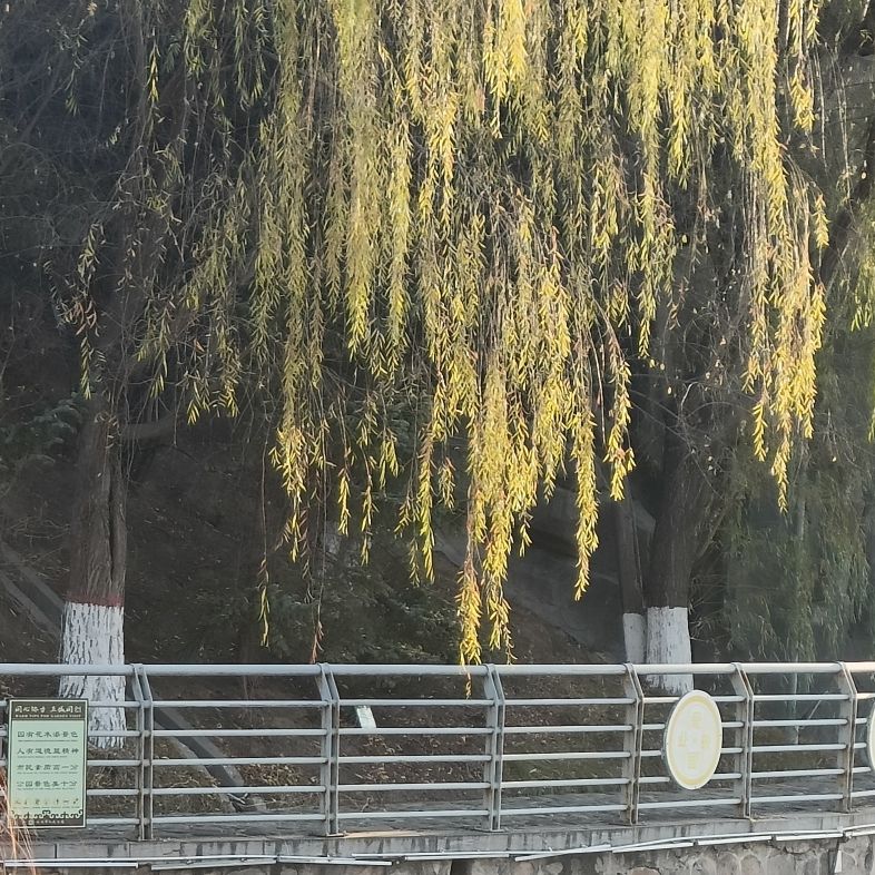 人民公园旅行图片 3