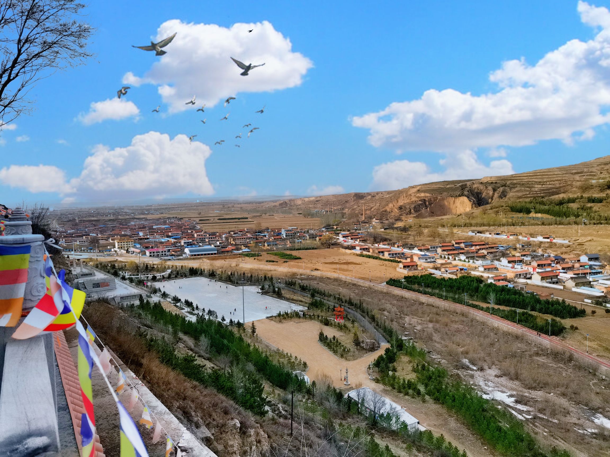 清荷公园旅行图片 1