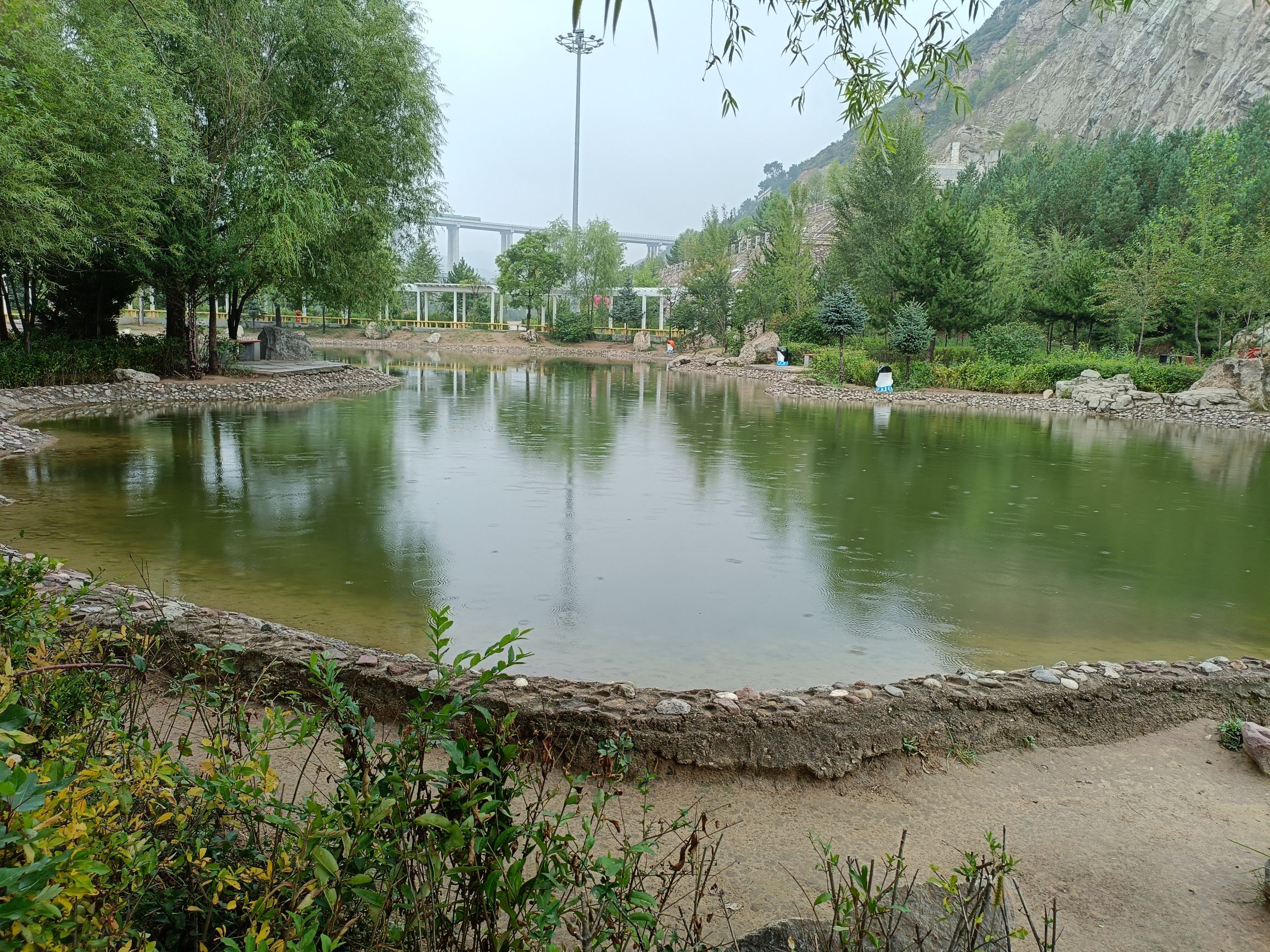 清荷公园旅行图片 3