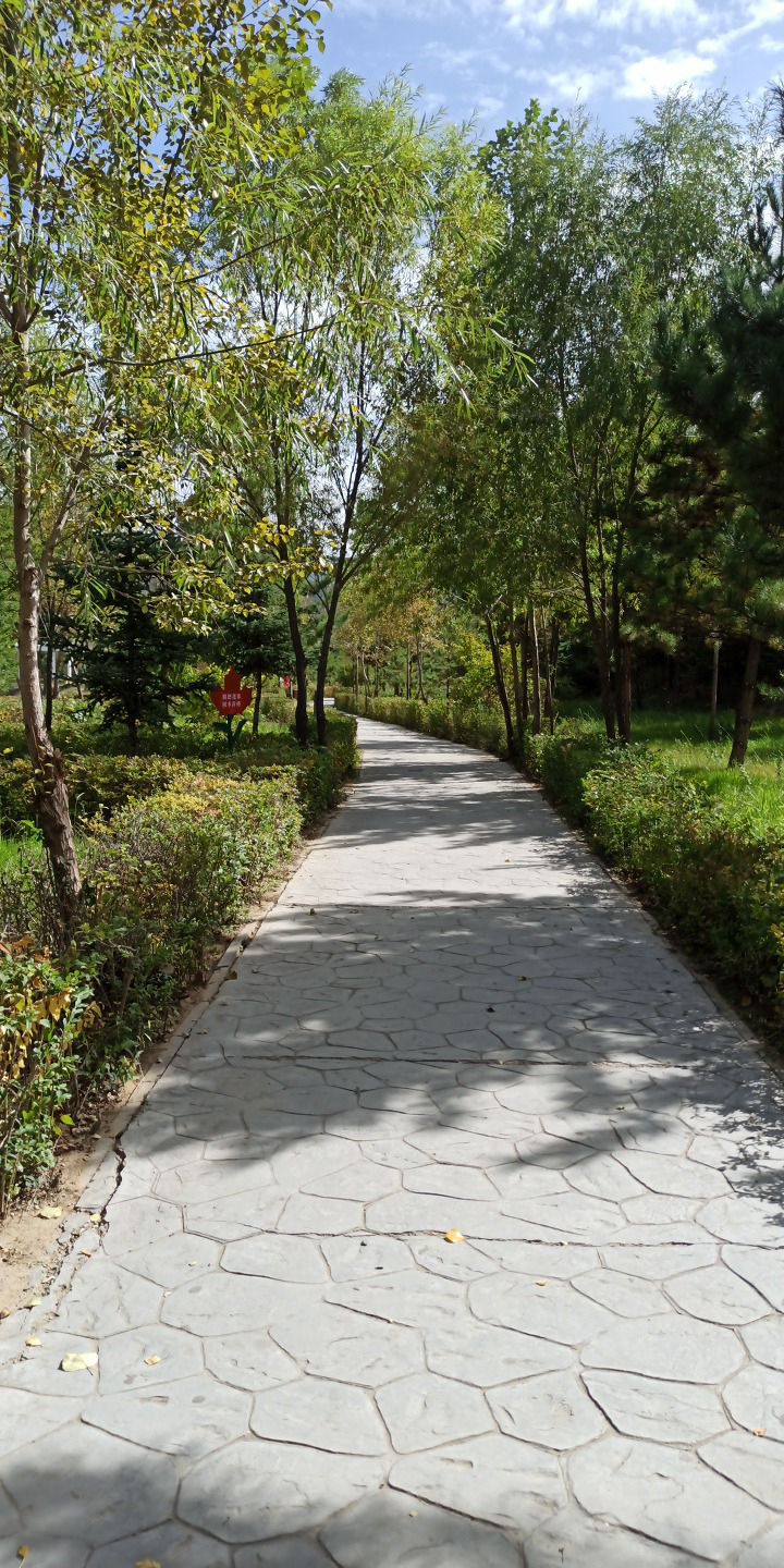 清荷公园旅行图片 3