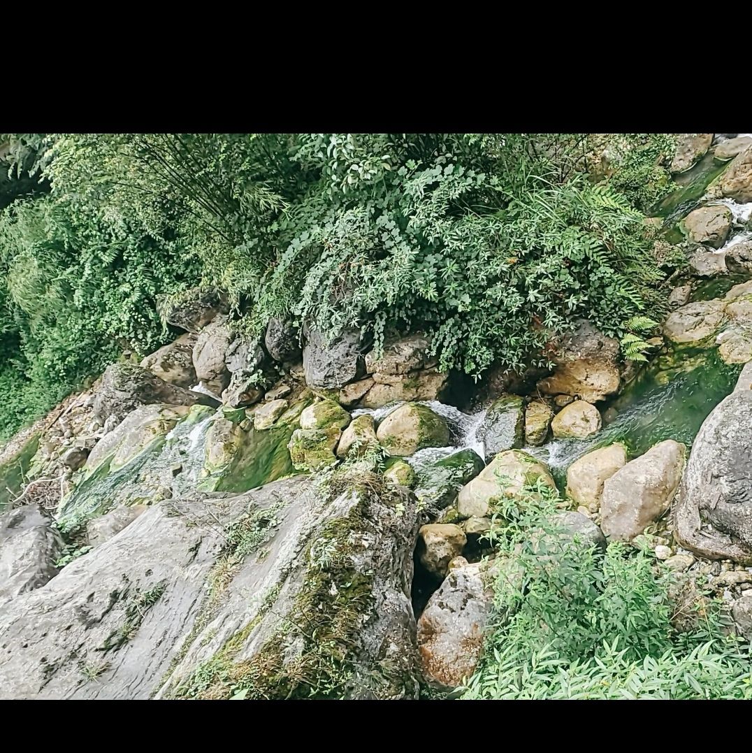 九龙沟旅行图片 1
