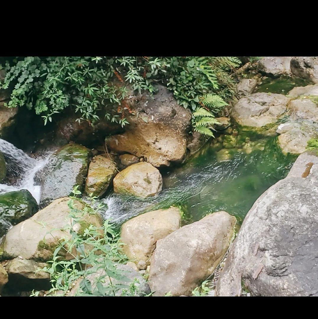 九龙沟旅行图片 3