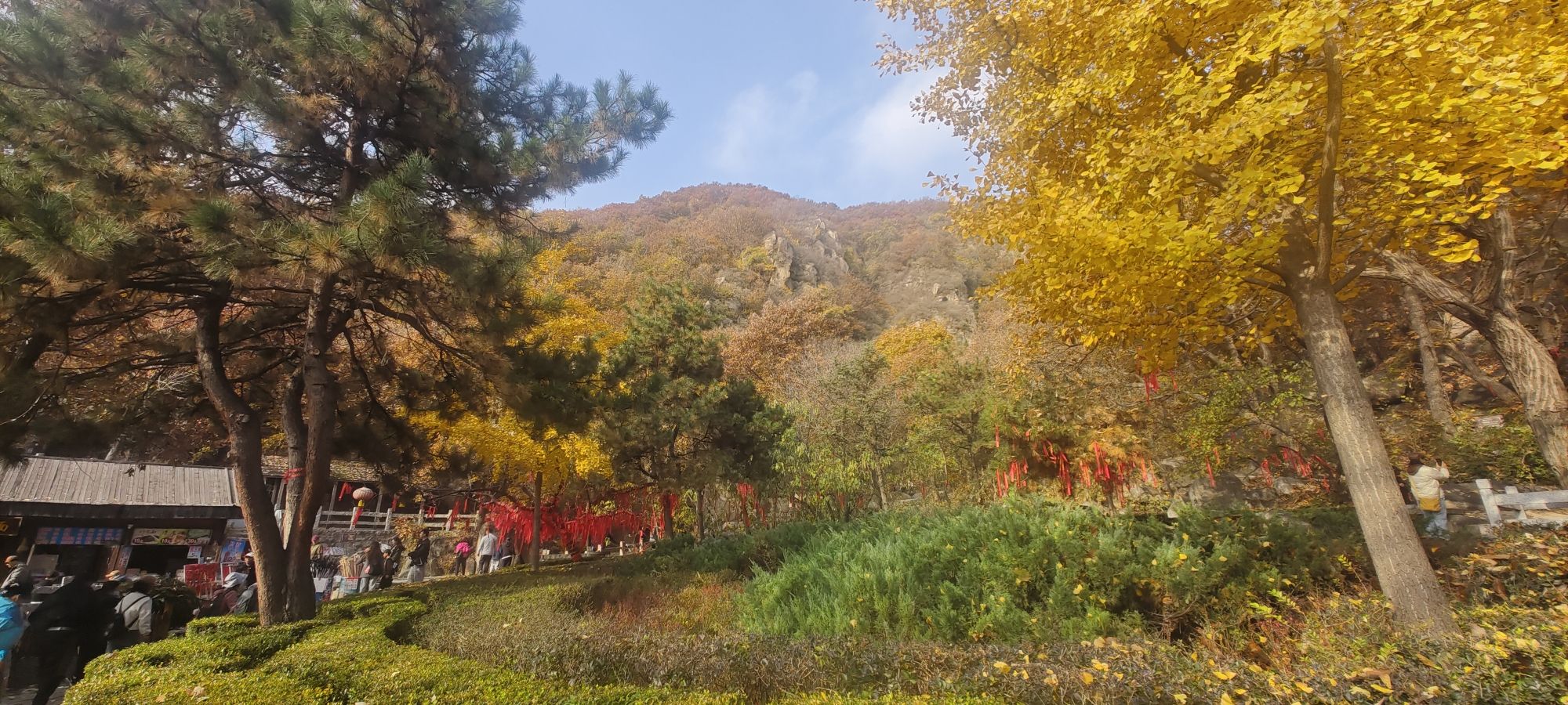 显通寺 景点照片