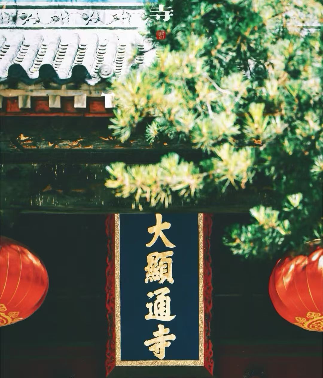 显通寺 景点照片