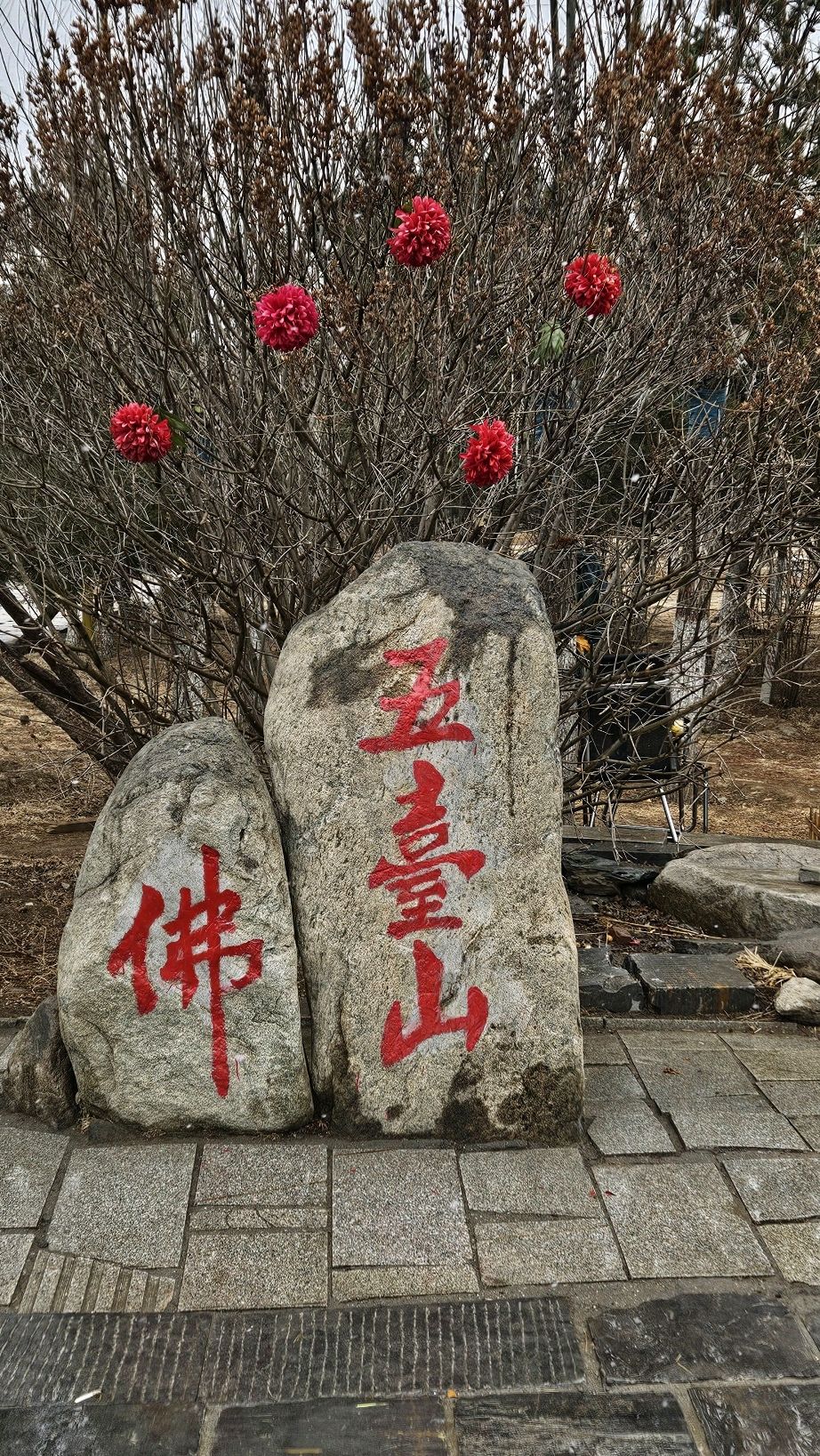 五台山风景名胜区旅行图片 1