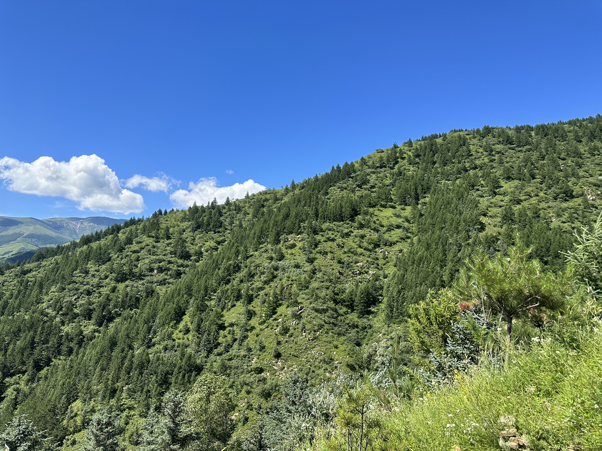 五台山风景名胜区旅行图片 1