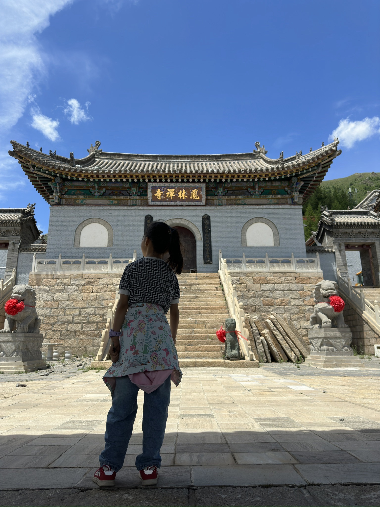 五台山风景名胜区-凤林寺