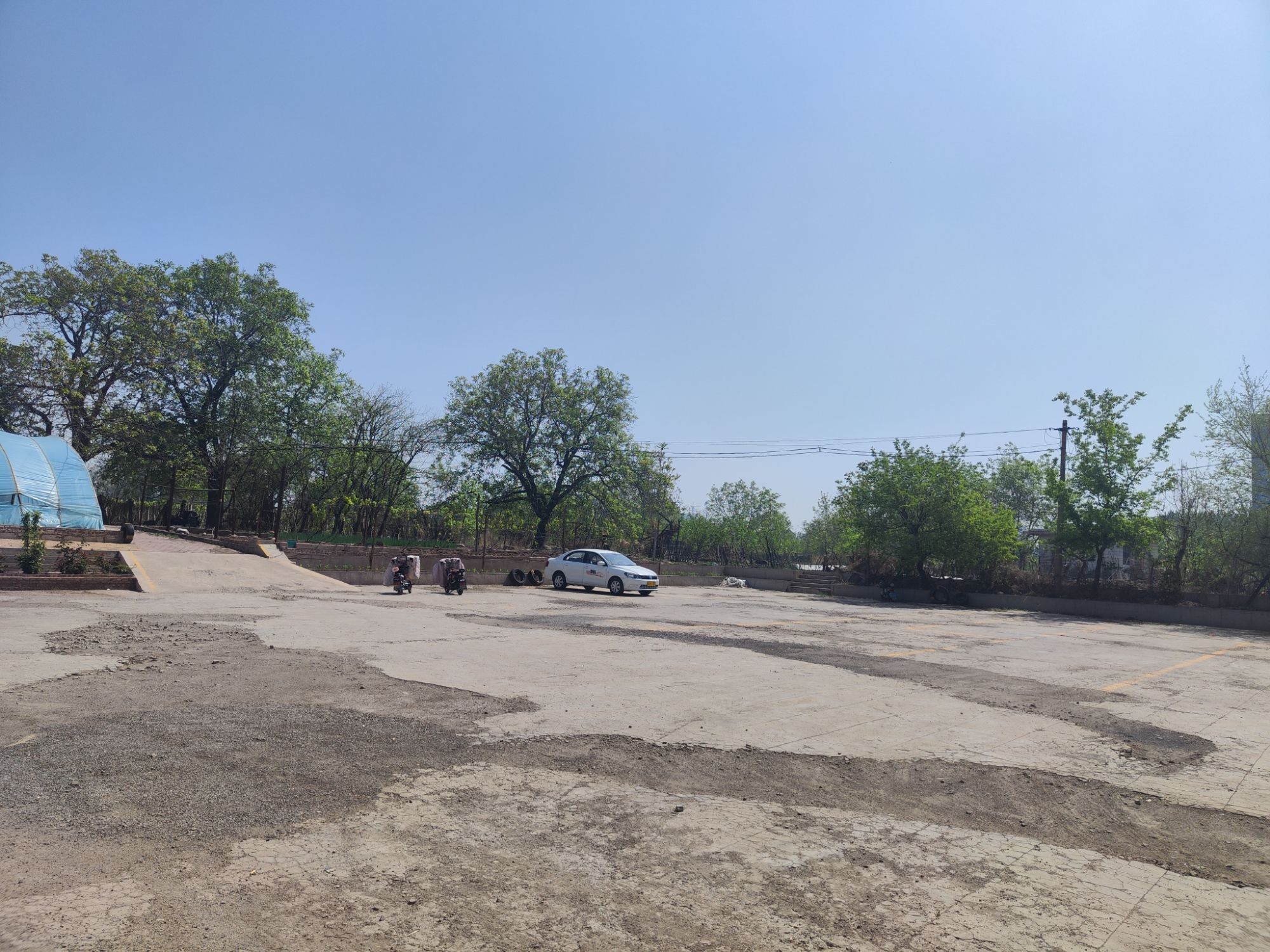 葡萄公园旅行图片 3