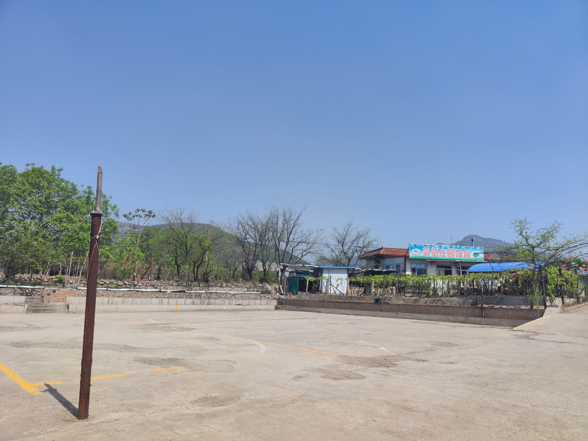 葡萄公园旅行图片 2