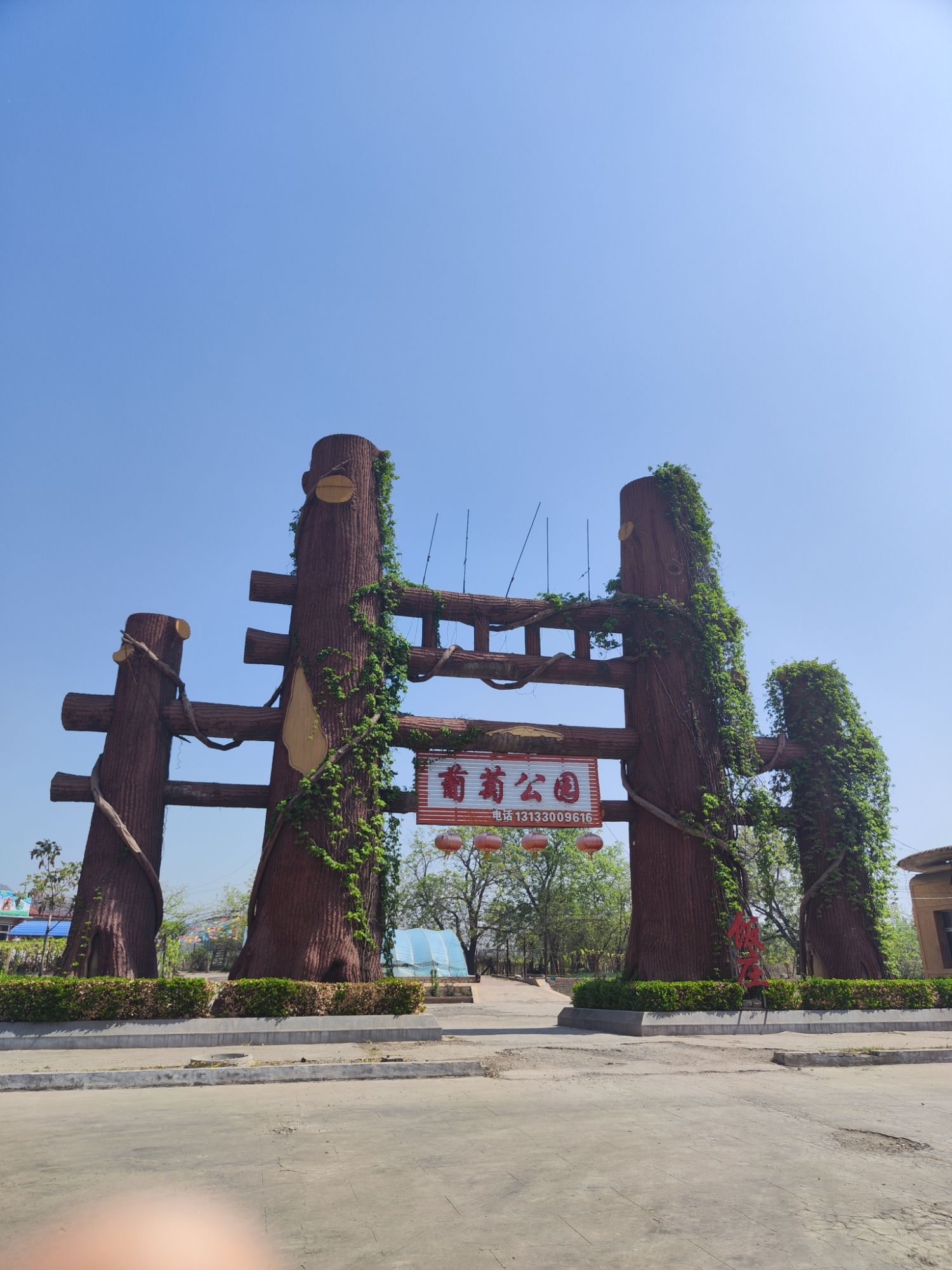 葡萄公园