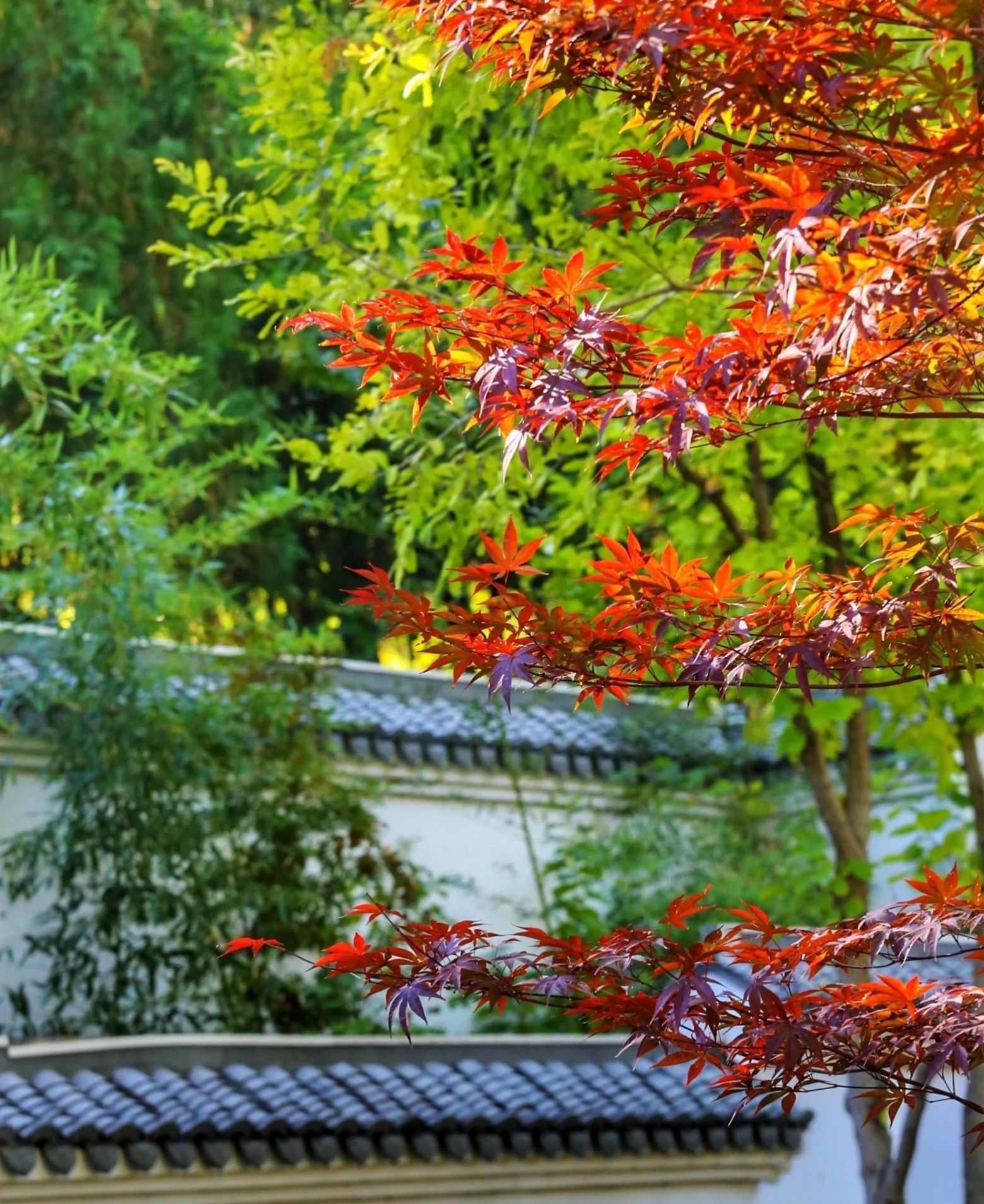 北宫花园旅行图片 1
