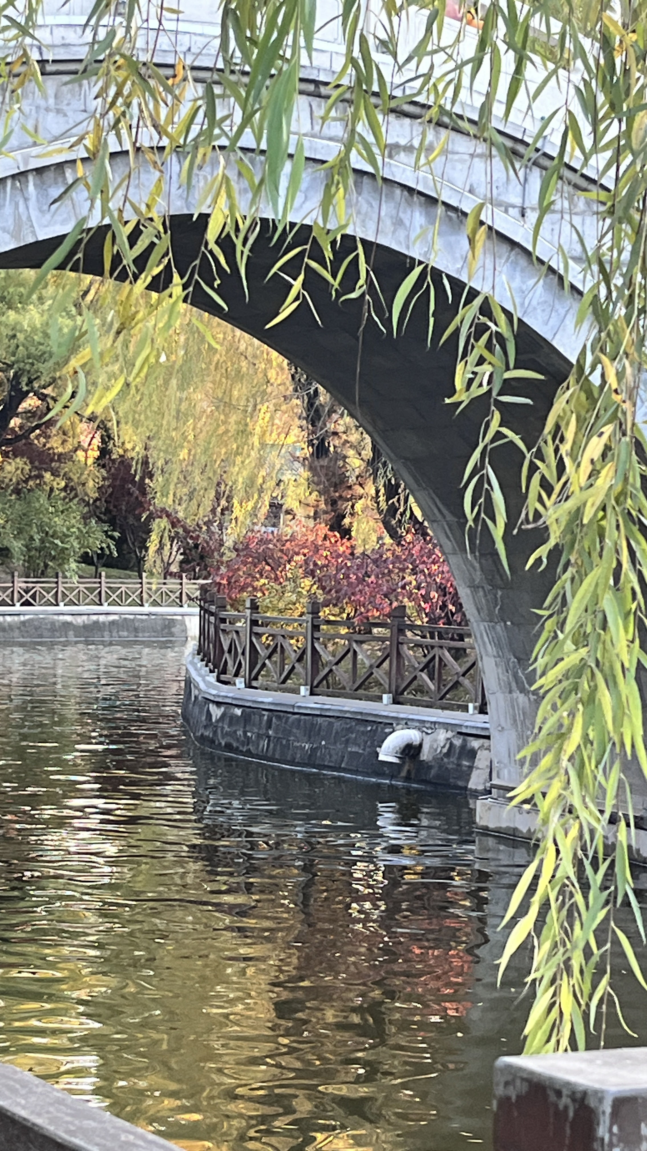 迎泽公园旅行图片 1