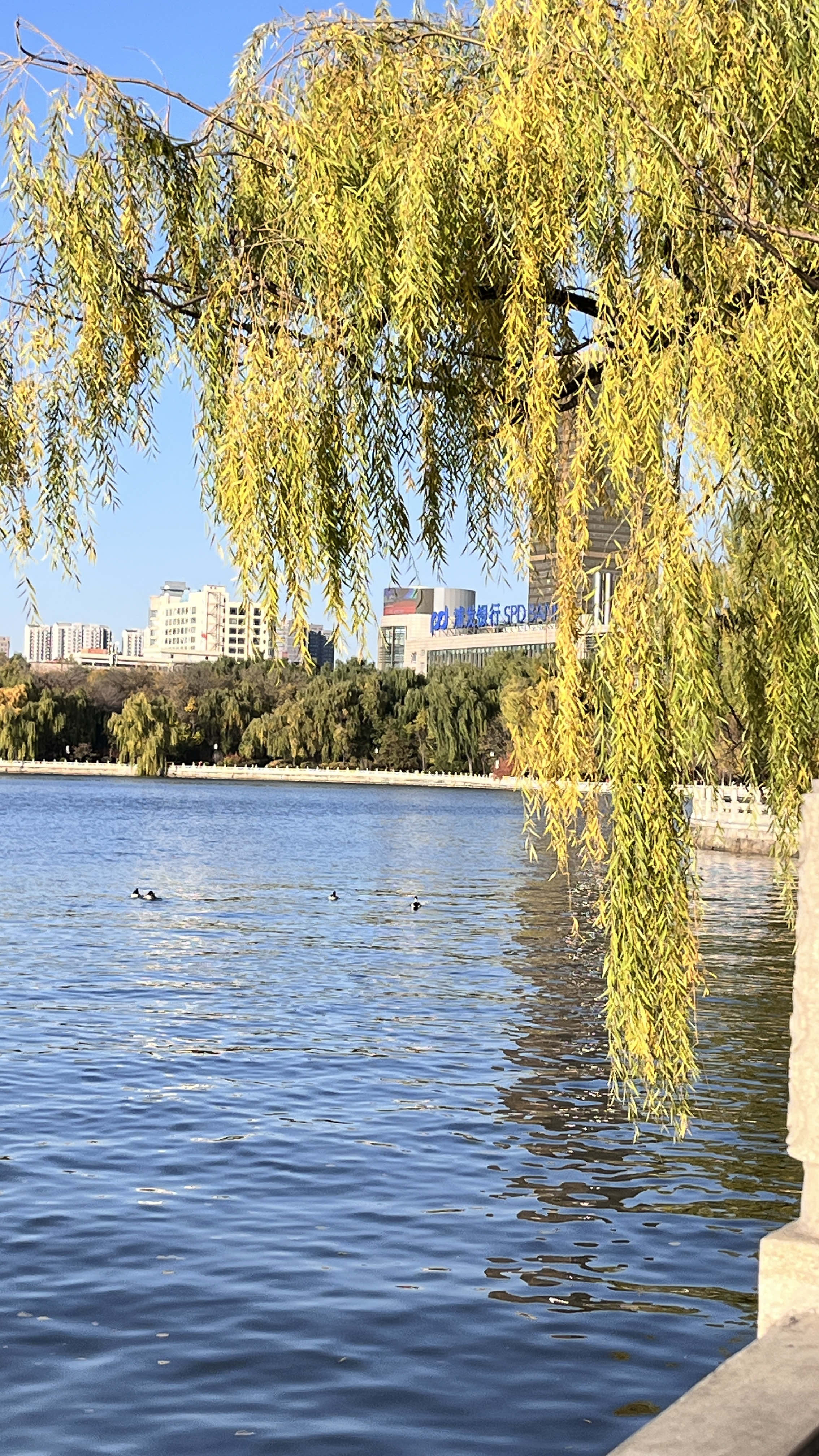 迎泽公园旅行图片 3