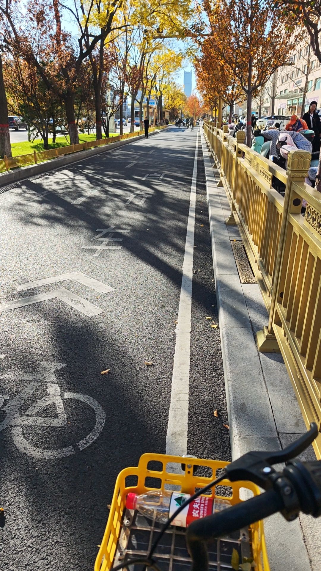 迎泽公园旅行图片 3