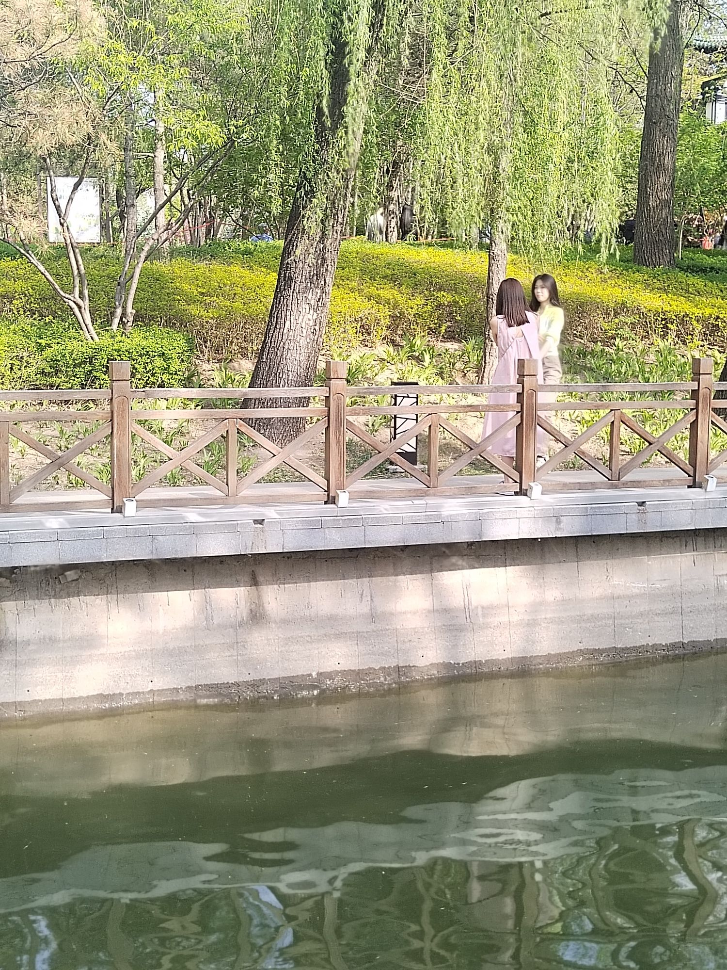 迎泽公园旅行图片 2