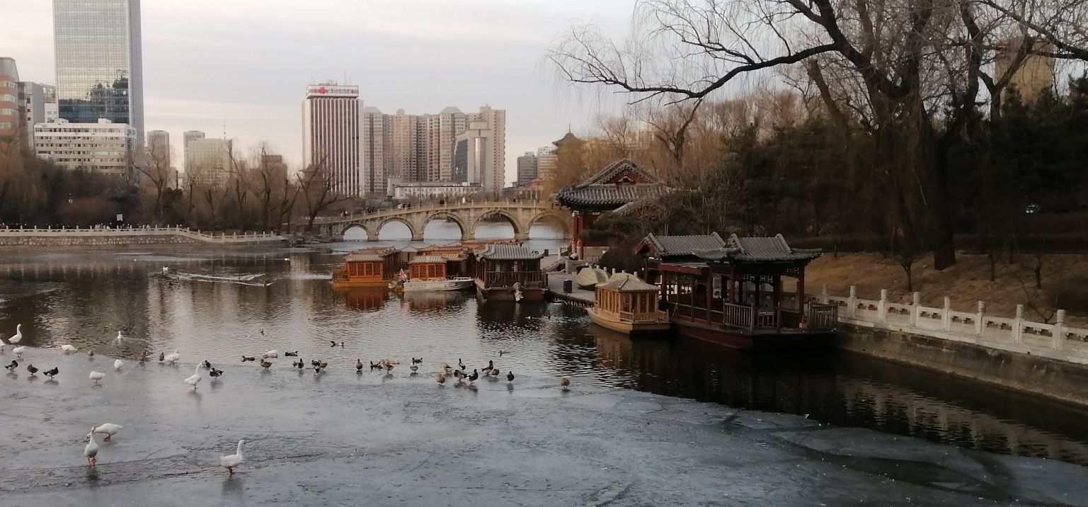 迎泽公园旅行图片 3