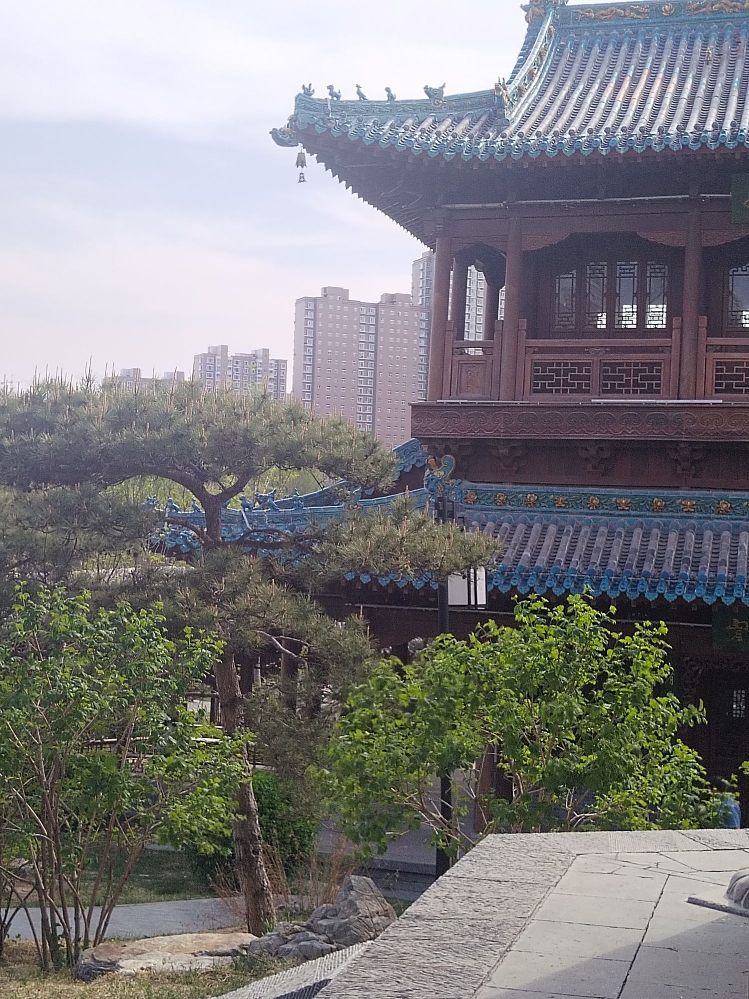 迎泽公园旅行图片 3