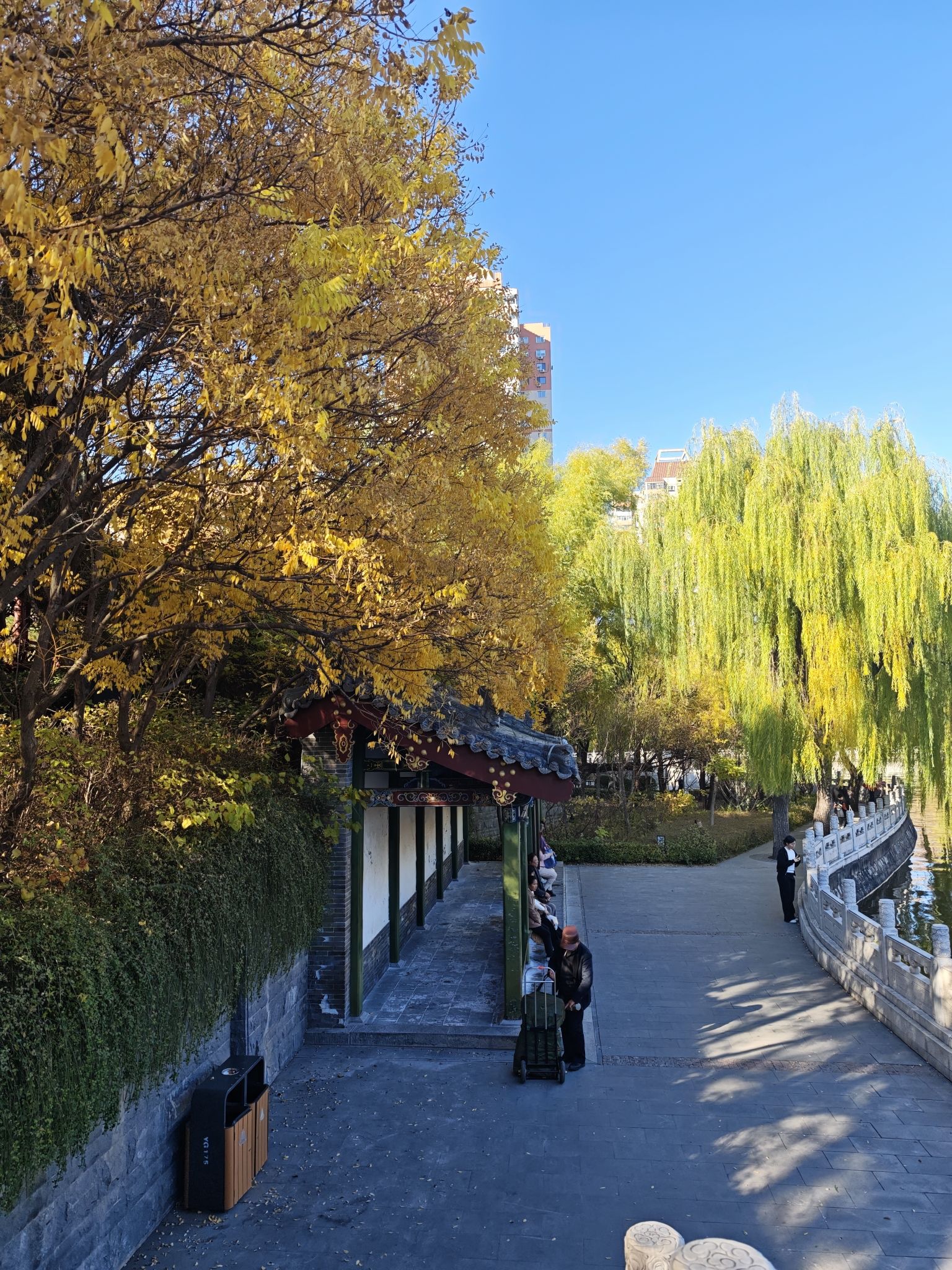 迎泽公园旅行图片 2