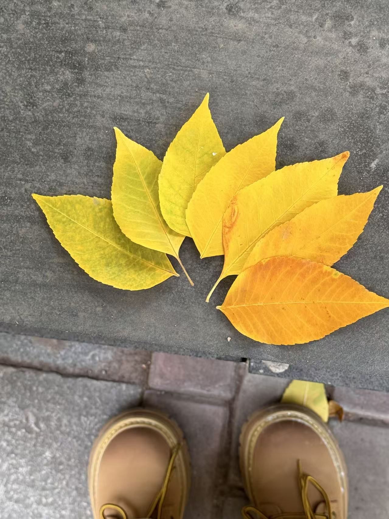 迎泽公园旅行图片 1