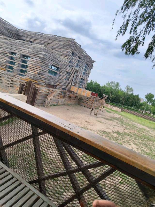 太原动物园旅行图片 2