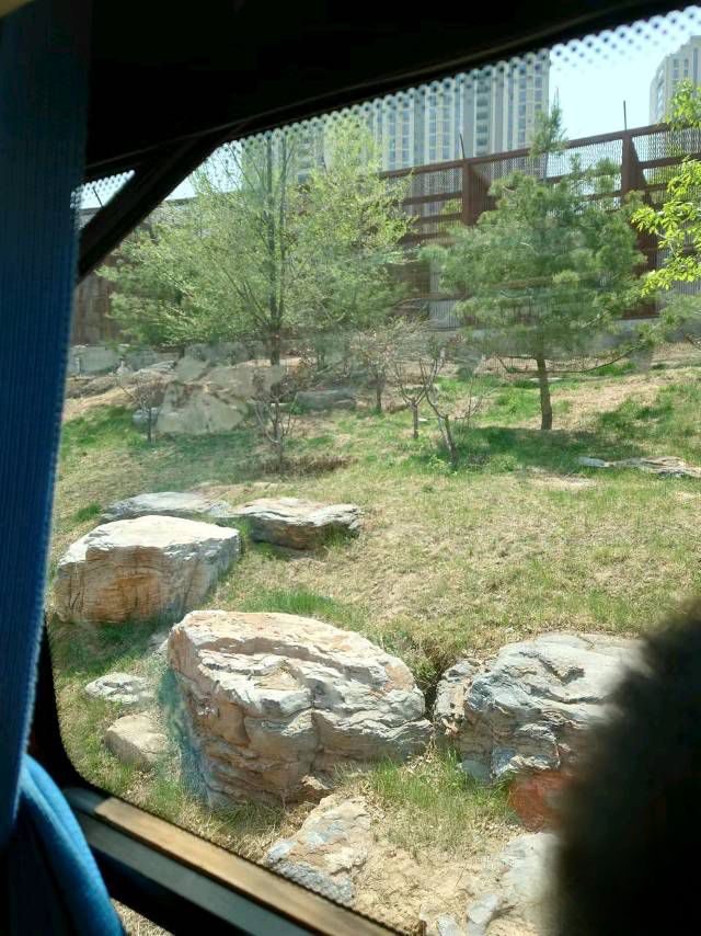 太原动物园旅行图片 1