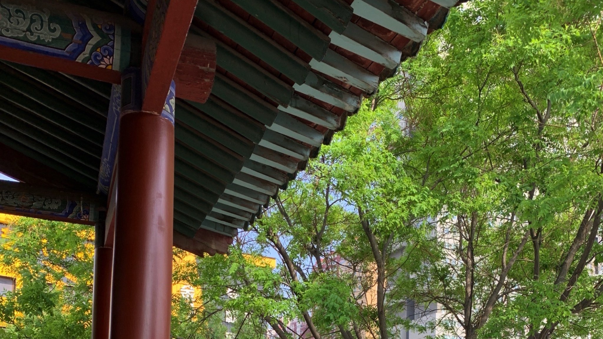 唱经楼旅行图片 3