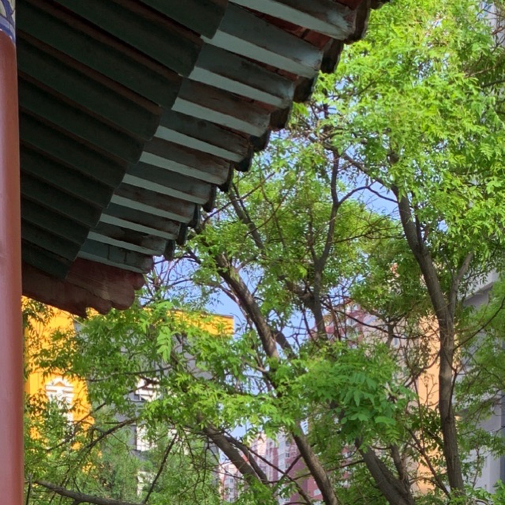 唱经楼旅行图片 2