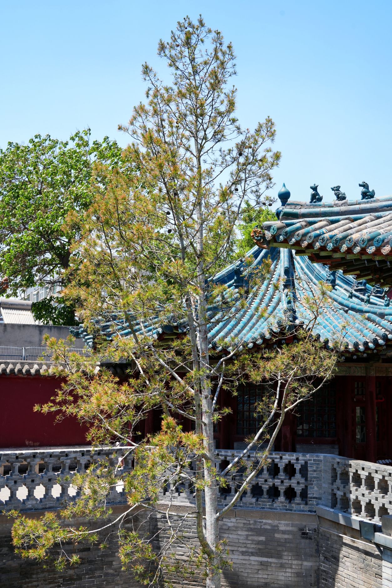 纯阳宫旅行图片 3