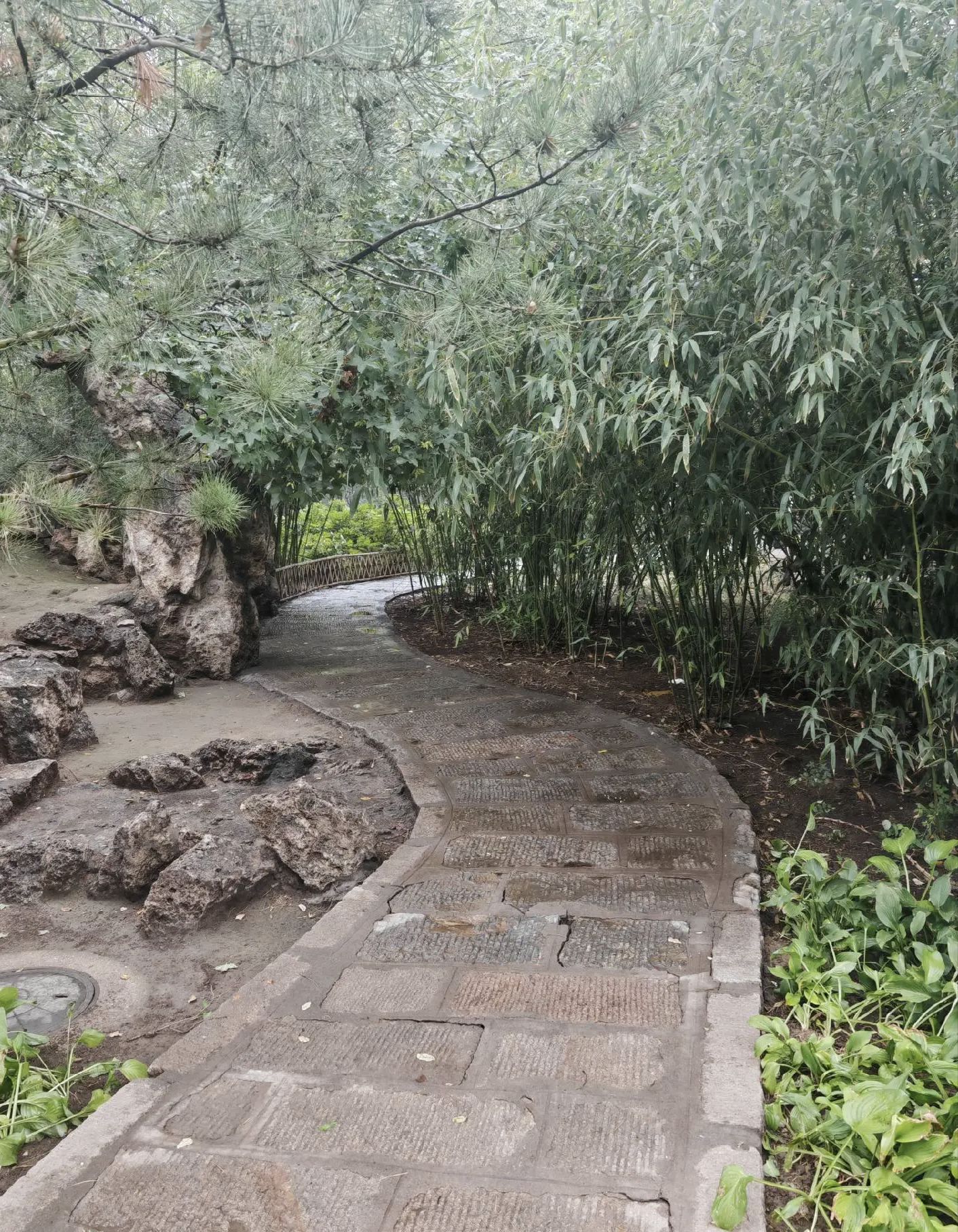 墨艺苑旅行图片 3