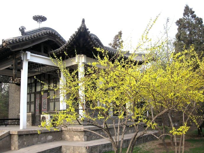 墨艺苑旅行图片 1