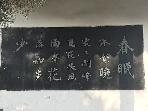 墨艺苑旅行图片 2