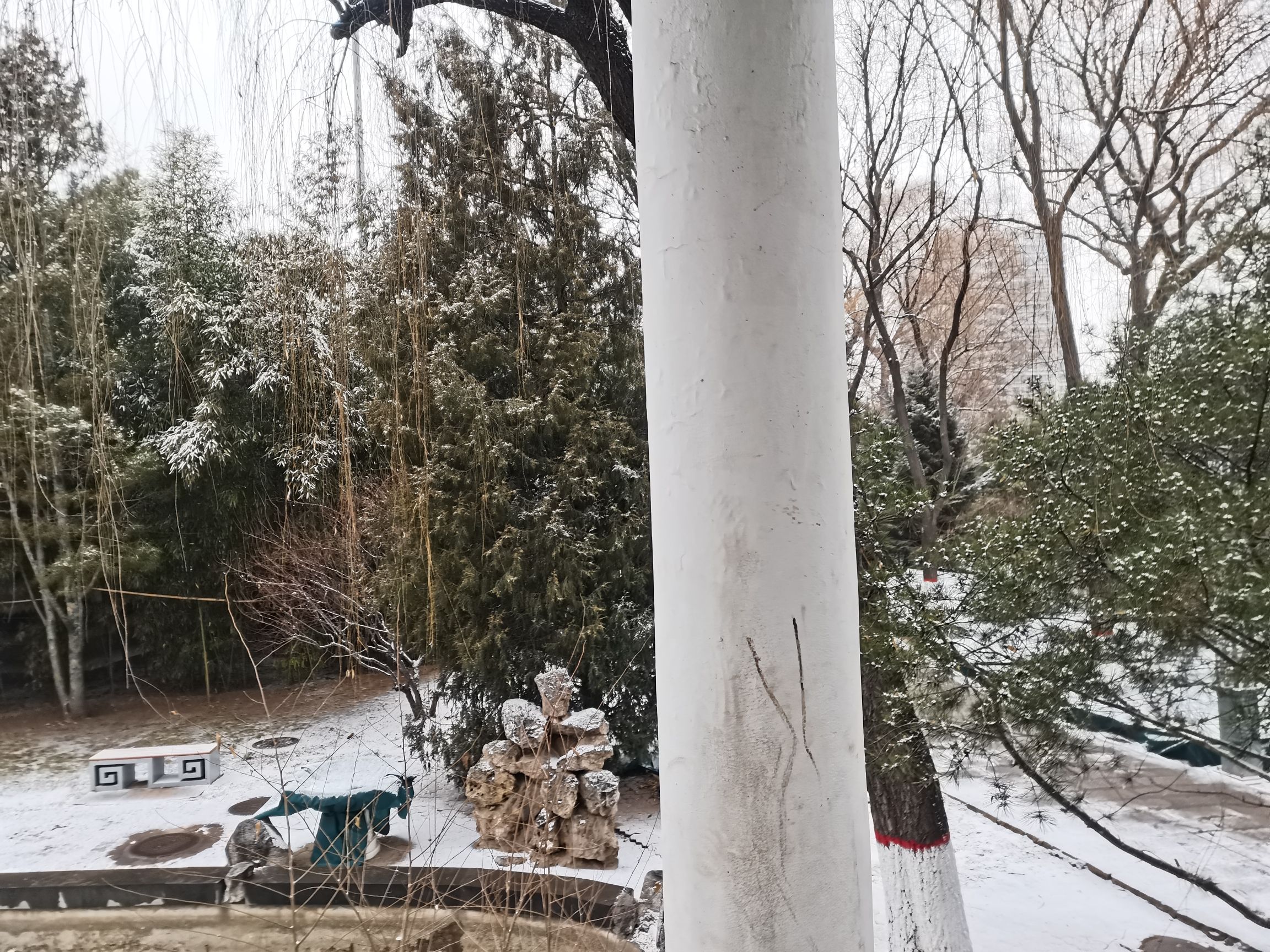 墨艺苑旅行图片 1