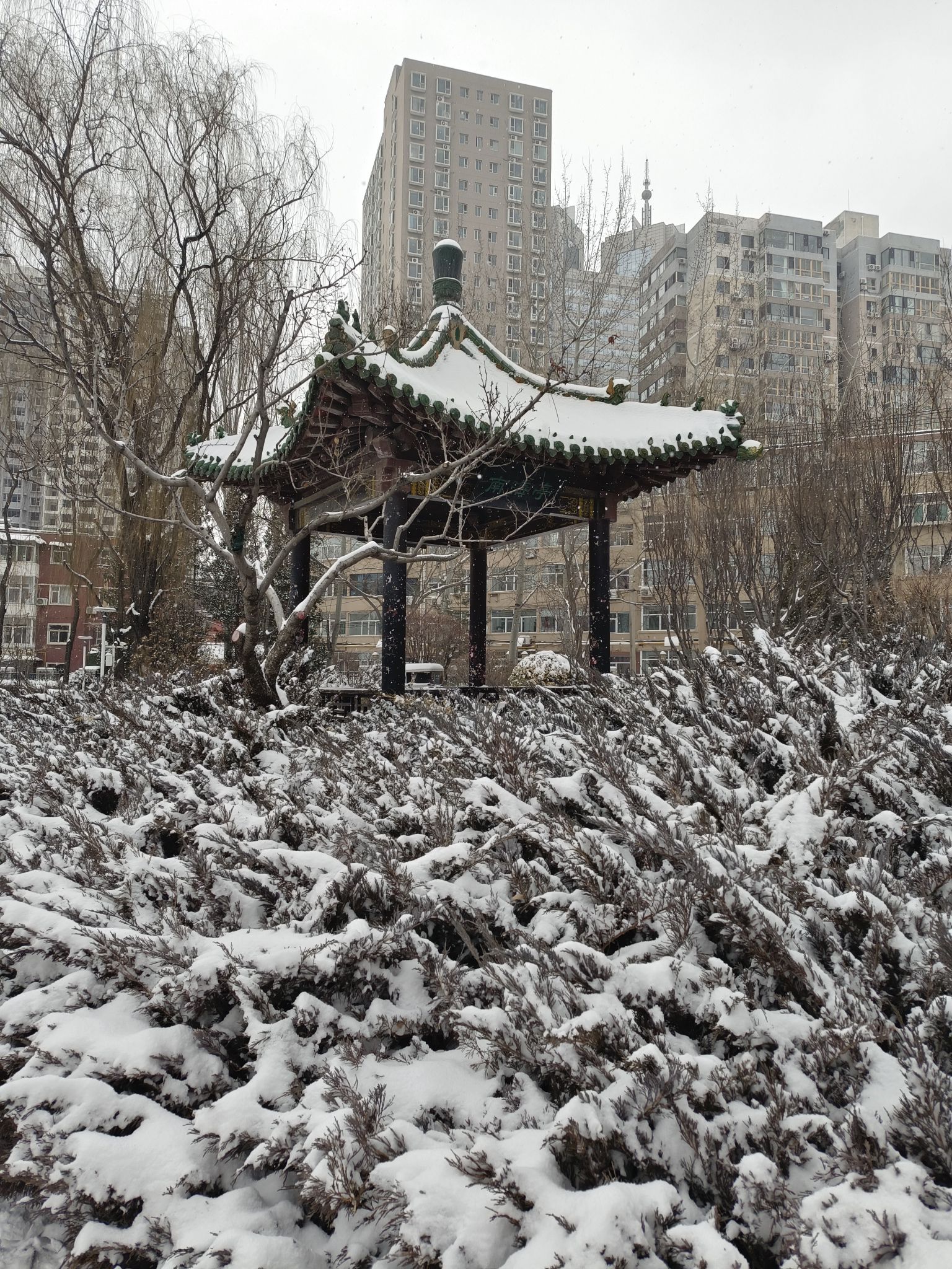 南海子公园旅行图片 1