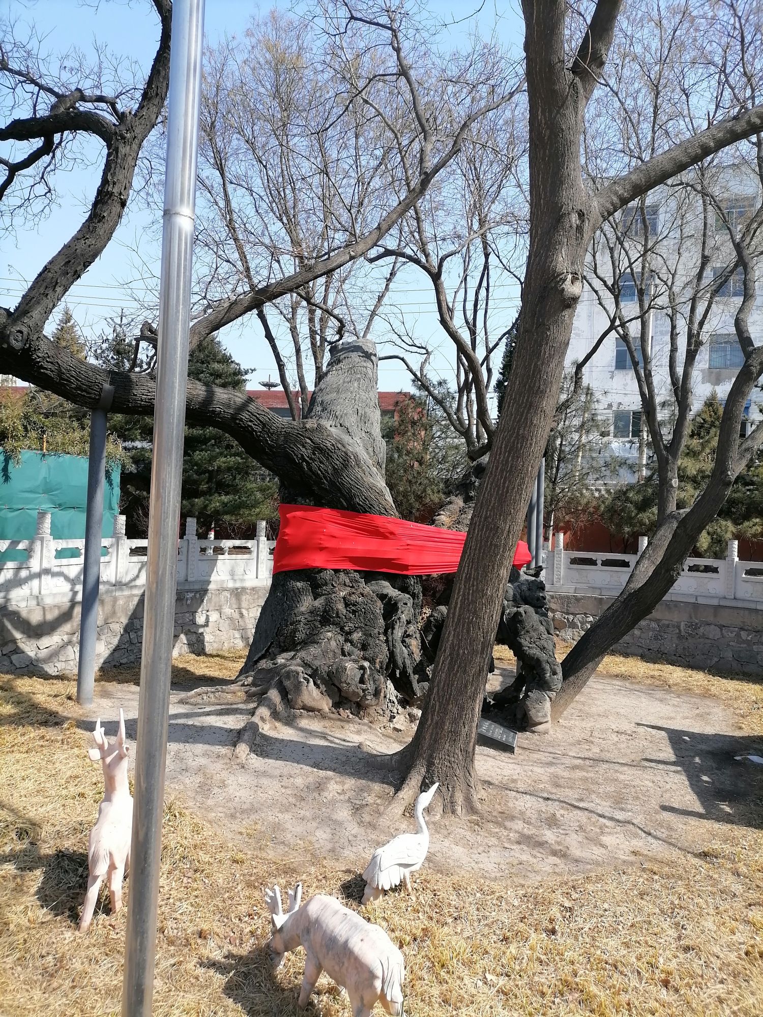 狄仁杰文化公园旅行图片 1