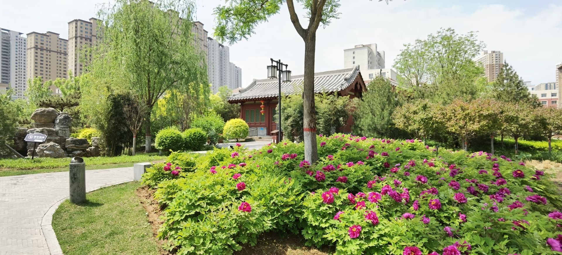狄仁杰文化公园旅行图片 3